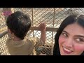 BEST EXPERIENCE OF WILDLIFE 😍 | Lion & Ostrich Ny Attack Ker Dea 😱 | Lahore Safari Park ♥️