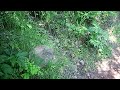 Hike Dodgeton Trail pt 2