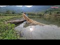 Use a fishing net to scoop up big fish and sell them to make a living. The girl's life on the lake.