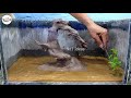 Very Easy - Build a Beautiful Aquarium Just from Cement