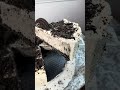 Making A Delicious Oreo Cheesecake
