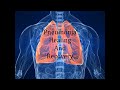 Pneumonia Healing And Recovery