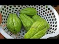 The best way to grow chayote at home