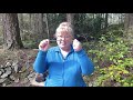 INTRODUCTION TO DOWSING WITH L RODS.  explained by a professional dowser #dowsing #dowsingrods