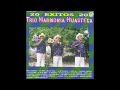 Trio Armonia Huasteca - 20 Exitos (Disco Completo)