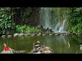 Beautiful Morning Music Playlist For Positive Energy - Soft Piano Music For Relaxation