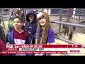 Hands On Ag Day