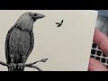 Lunch Time! Crow Scratchboard Art