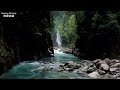 Relaxing Music to Relieve Stress 🌿 From Anxiety, Depression • Healing Mind, Body