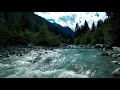 Nature Sounds Peaceful Forest River 6 hours Long Relaxing Sounds Nature Video Calm Water Sound