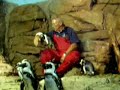 Jammin' Penguin at Monterey Aquarium