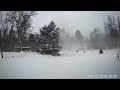 Northern Michigan Blizzard. Old man Winter day 2.