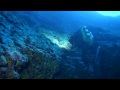 Moorea Deep Dive Highlights