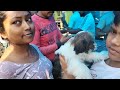 Galiff Street Pet Market Kolkata | dog market in kolkata | pet market | Gallif street kolkata | Dog