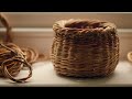 Harvesting roots for basket weaving | Spruce Root Harvesting