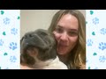 Staffy Bull Terrier Loves People But is Afraid of ONE THING | Cuddle Dogs