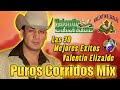Valentin Elizalde Mix Puros Corridos 2024 - Las 30 Mejores Exitos De Valentin Elizalde