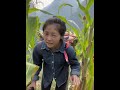 Amazing Villages in China | The Most Dangerous Cliff Life | Dense Cliff Houses