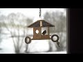 Bird video for cats (4K)