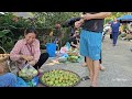 Harvesting guava to sell at the market - Ve takes Vui to the maternity clinic