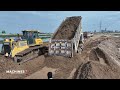 EP14 New Update 90% Bulldozer Pour Sand To Build a Dam To Filling Up Land By Sand