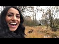Ami's Primal Scream | Lake District Adventures