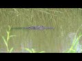 Hurricane Laura, Extensive Catastrophic Damage, Grand Lake, LA - 8/27/2020