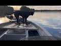 Restoring a $1000 Ranger Bass Boat part 1
