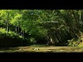 4K Video + Natural Environment Sound / Enbara river in spring