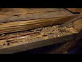 Fixing Rotted Sill Plate and Termite Damage in Floor Joists