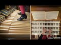 🎵 JS Bach's Most Popular Organ Works // 32 pieces 16 Organs 12 Organists