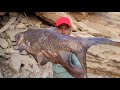 Amazing Fishing 🎣 10.400.kg 2.500.Kg KiG SIZE ROHU Fishes to Single Hook to Catching