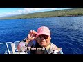 Captain Cook Kealakekua Bay Snorkeling Boat Tour Big Island Hawaii #travelvlog #travelguide #reef