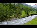 Stäubifall Switzerland 🇨🇭 the Most Amazing Waterfall with Cows Grazing | #swiss