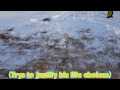 Royal Vlogs #3 | EPIC SNOW JUMP!