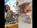 The Kiffness X NumNum Cat (Live Looping Balkan Remix)