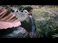Gentle flowing water at the hill | Relaxing water sounds for better sleep,focus and insomnia