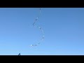 Beautiful Kite flying