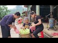 Girl buys Solar Panels and installs them at the farm / uses Lighting and Fans / Pham Tâm