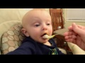 Gannon's First Baby Food (Peas)