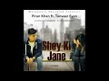 Shey Ki Jane  - Raz Dee | (Cover) | Piran khan ft. Tanveer Evan | 2023 | LOFI