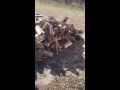 Never ending wood pile