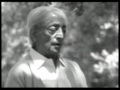 J. Krishnamurti - Ojai 1979 - Public Talk 6 - Meditation is the ending of all...