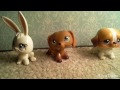 Lps Collection~ 2015