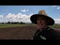 I got an amazing opportunity to plant my durban grass on a turf farm