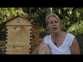 Beginner Beekeeping Ep 2 -  Situating your Flow™ Hive