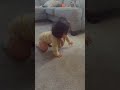 Look who learned how to CRAWL!