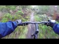 Daft Punk Mountain Biking Video in Capital Forest, Olympia WA