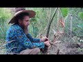 Super Abundant Three year old sub-tropical Food-Forest  -How to Restore Ecosystems by producing food