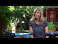 Bike Hand vs Park Tool - Bike Stand Reviews